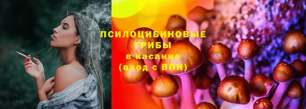 твердый Пересвет