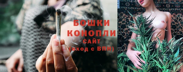 соль ск Осинники