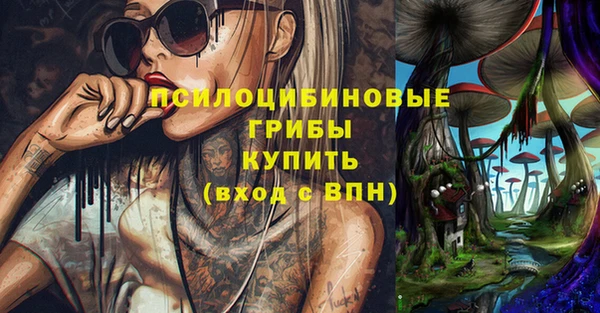 твердый Пересвет